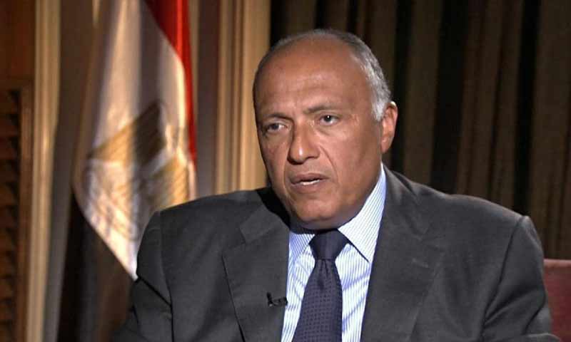 وزير الخارجية المصري، سامح شكري (المصراوي)