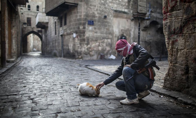 مقاتل من الجيش السوري الحر يطعم قطة في مدينة حلب - 6 كانون الثاني 2013 (AP)