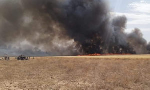 حرائق تلتهم محاصيلالقمح في محافظة0 الرقة شمال شرقي سوريا (الرقة تذبح بصمت)