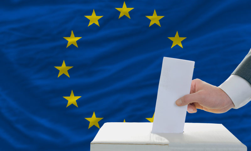 الانتخابات البرلمانية للاتحاد الأوروبي 2019 (وزارة الداخلية الألمانية)