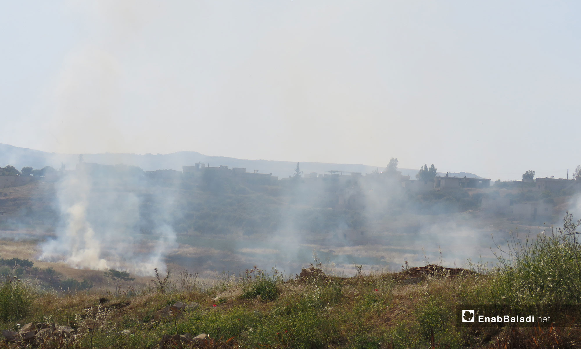 احتراق المحاصيل الزراعية في بلدة  ترملا جنوب ادلب بعد استهدافها براجمات الصواريخ - 14 من أيار 2019 (عنب بلدي)