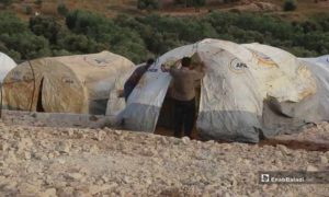 مخيم للنازحين في منطقة أطمة شمالي إدلب 23 أيار 2019 (عنب بلدي)