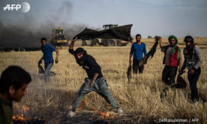 شبان يحاولون إخماد حرائق نشبت في محاصيل ناحية القحطانية في محافظة الحسكة - 10 من حزيران 2019 (AFP/ دليل سليمان)