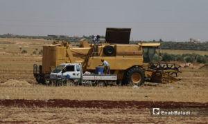 حصادة القمح تحصد المحاصيل بعد نضوجها في أراضي إدلب الزراعية – 12 حزيران 2017 (عنب بلدي)
