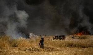 أشخاص يطفؤون حريقًا في حقل زراعي في بلدة القحطانية بريف الحسكة- 10 من حزيران 2019 (AFP)
