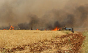 حرائق تلتهم الأراضي الزراعية في محافظة إدلب نتيجة القصف الصاروخي من قوات الأسد - أيار 2019 (الدفاع المدني)
