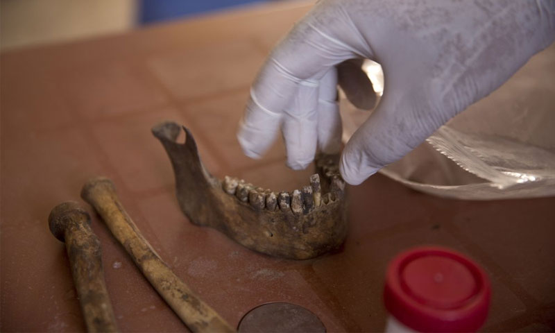 بقايا عظام بشرية وجدت في مقبرة جماعية في الرقة - 7 أيلول 2019 (AP)