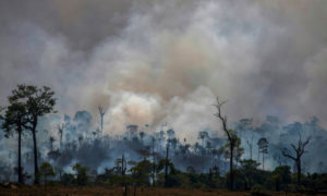حرائق الأمازون - آب 2019 (AFP)