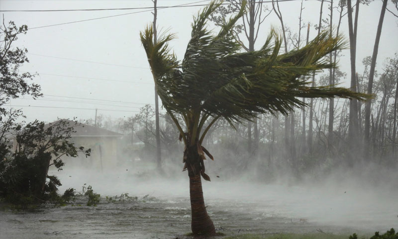 إعصار دوريان 2 أيلول 2019 (شتر ستوك)