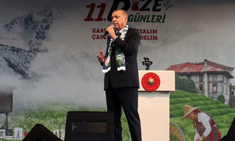 الرئيس التركي، رجب طيب أردوغان، يتحدث في "أيام التعريف بريزي" (TCCB)