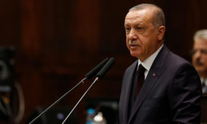 الرئيس التركي رجب طيب أردوغان (الأناضول)