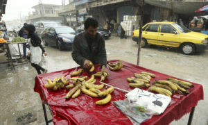 بائع يرتب فاكهة الموز على عربته في القامشلي شرق سوريا - نيسان 2016 (رويترز)
