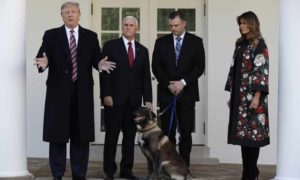 الكلب كونان مع الرئيس الأمريكي دونالد ترامب ونائب الرئيس مايك بينس وزوجة الرئيس ميلينا - 25 تشرين الثاني 2019 (AP)