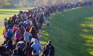 مهاجرون يعبرون الحدود إلى سلوفينيا - 2015 (theconversation)
