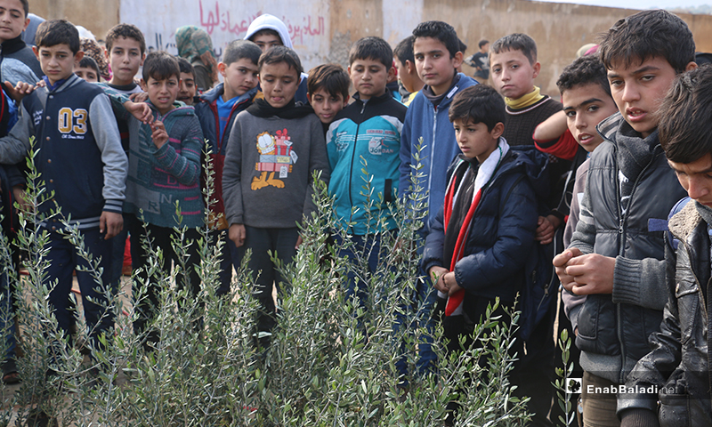 أطفال يشاركون في حملة "شجرة الحرية" لغرسات الزيتون في قرية كفر عروق بريف إدلب - 8 كانون الأول 2019 (عنب بلدي)