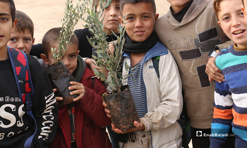 أطفال يشاركون في حملة "شجرة الحرية" لغرسات الزيتون في قرية كفر عروق بريف إدلب - 8 كانون الأول 2019 (عنب بلدي)