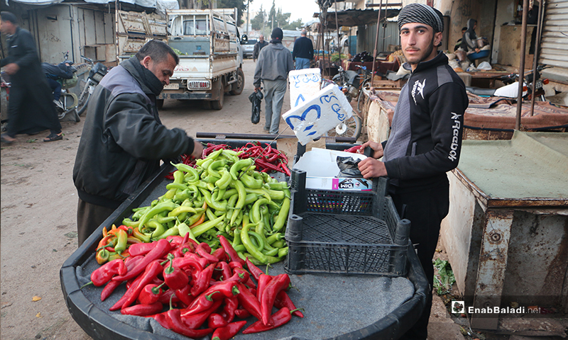 بائع خضرة وعربته في سوق مدينة إدلب- 7 من نيسان (عنب بلدي)