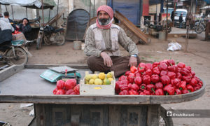 بائع خضرة جالس على عربته في سوق مدينة إدلب- 7 من نيسان (عنب بلدي)