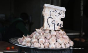 سعر الثوم في سوق مدينة إدلب- 7 من نيسان (عنب بلدي)
