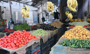 محل فواكه وخضرة في سوق مدينة إدلب- 7 من نيسان (عنب بلدي)