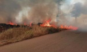 الحرائق التي اشتعلت في مساحات زراعية في منطقة السويداء جنوبي سوريا 8 من أيار 2020 - (الوطن أون لاين)