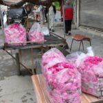"الوردة الشامية" في أسواق مدينة الباب 4 من أيار 2020 (عنب بلدي)