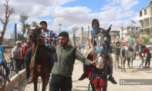 طفلان يركبان على حصانين بمحافظة الرقة شمال شرق سوريا خلال عيد الفطر - 26 أيار 2020 (عنب بلدي)
