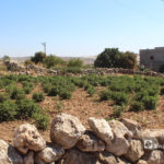 قرية عرشين بجبل السماق بريف إدلب الشمالي - 17 حزيران 2020 (عنب بلدي/إياد عبد الجواد)