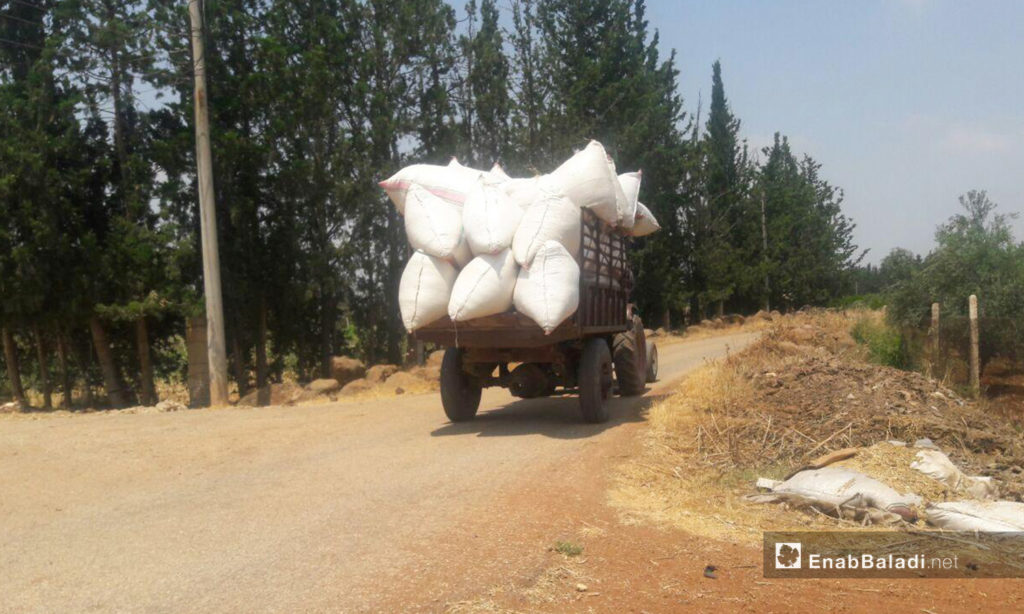 جرار يحمل القمح المحصود ضمن أكياس في ريف درعا الغربي - 5 تموز 2020 (عنب بلدي)
