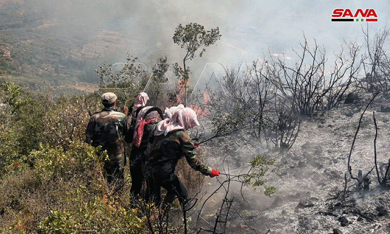 الفرق التطوعية تحاول إخماد الحرائق التي تعرضت لها غابات في غربي سوريا- 8 من أيلول 2020 (سانا)