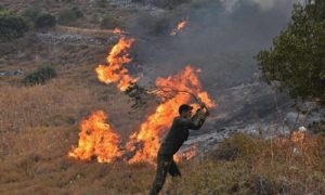 رجل يحاول إخماد النار باستخدام غصن شجرة في ريف حماة الغربي - 8 أيلول 2020 (AFP)
