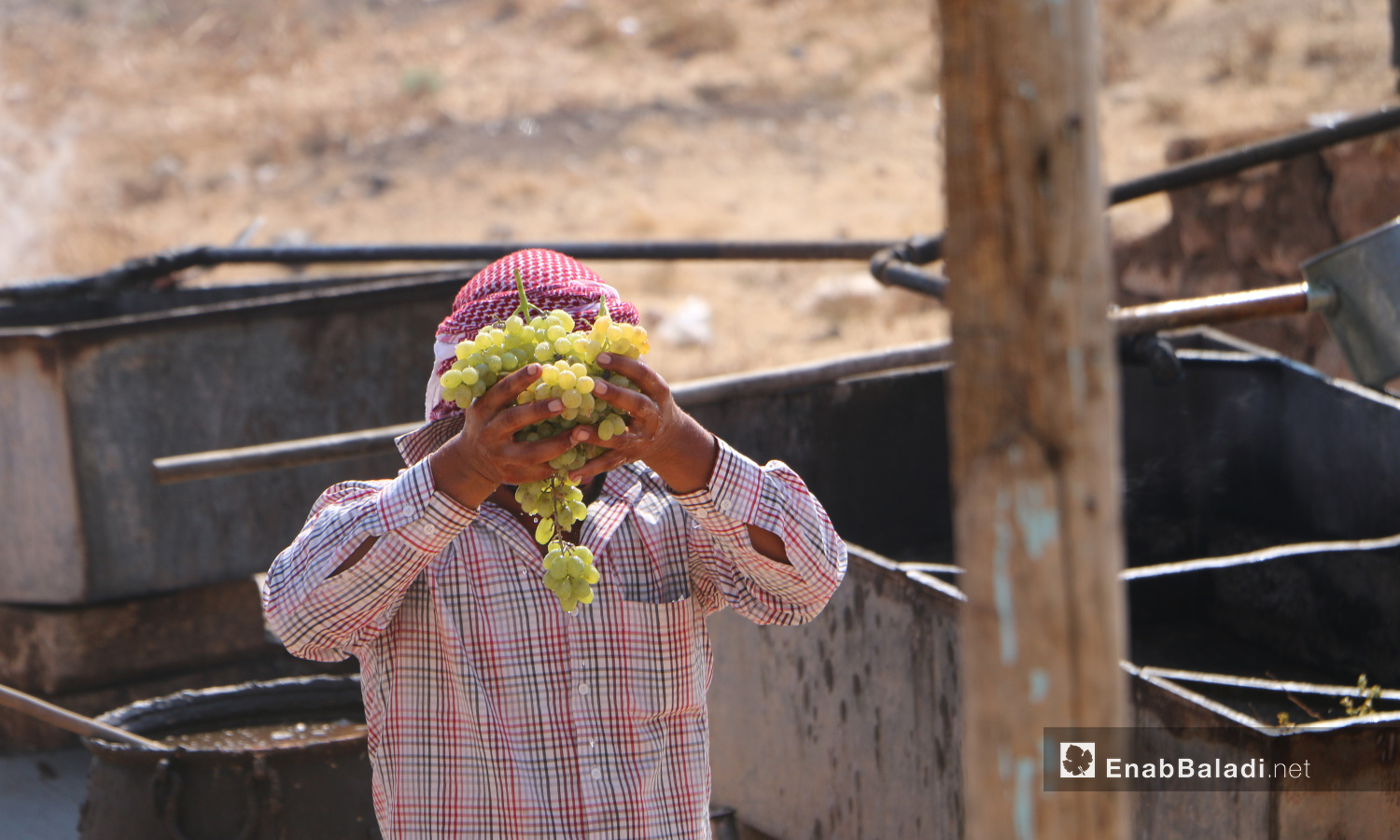 رجل يحمل عنقود عنب للبدء بمراحل صناعة الدبس في قرية دوديان بريف حلب الشمالي - 17 أيلول 2020 (عنب بلدي/ عبد السلام مجعان)