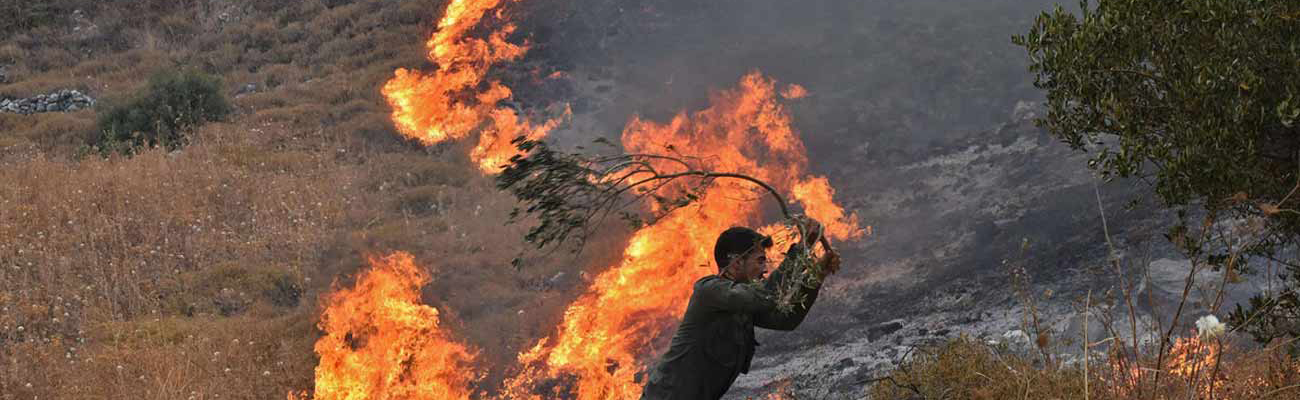 رجل يحاول إخماد النار باستخدام غصن شجرة في ريف حماة الغربي - 8 أيلول 2020 (AFP)
