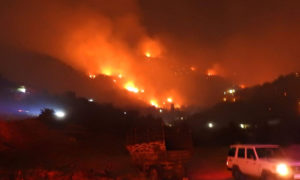 النيران تقترب من المنازل في منطقة الغاب بريف حماة-31 من آب 2020 (سانا)
