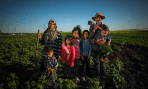 عائلة سورية لاجئة في كندا تنجح في إنتاج مواد غذائية والتبرع بها لبنك طعام في البلاد- 10 من تشرين الأول 2020 (The Clobe And Mail)