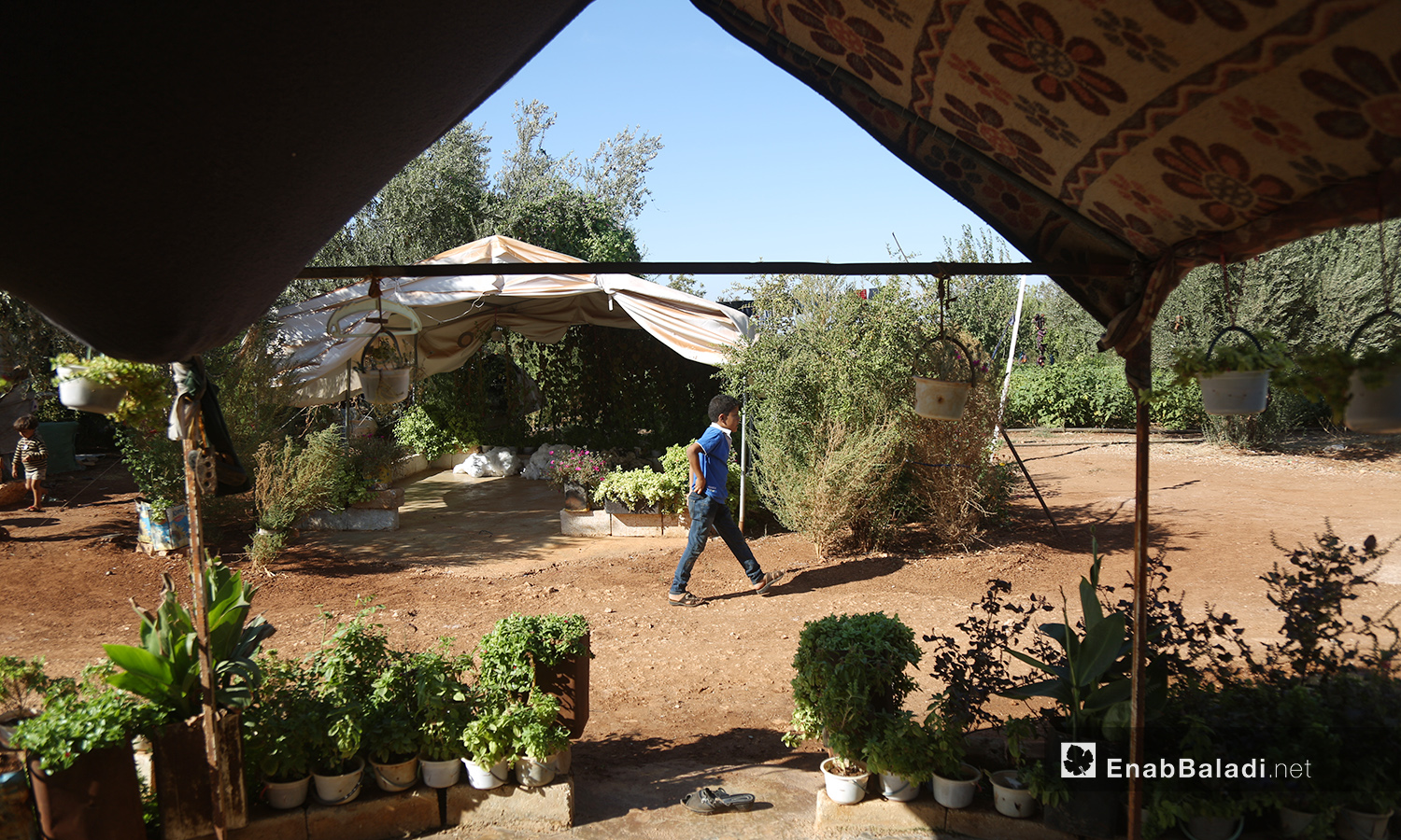 تحول مخيم "المطار" إلى حديقة واسعة تنتشر فيها الظلال بعد اهتمام سكانه بزراعة النباتات فيها  - تشرين الأول 2020 (عنب بلدي/ يوسف غريبي)