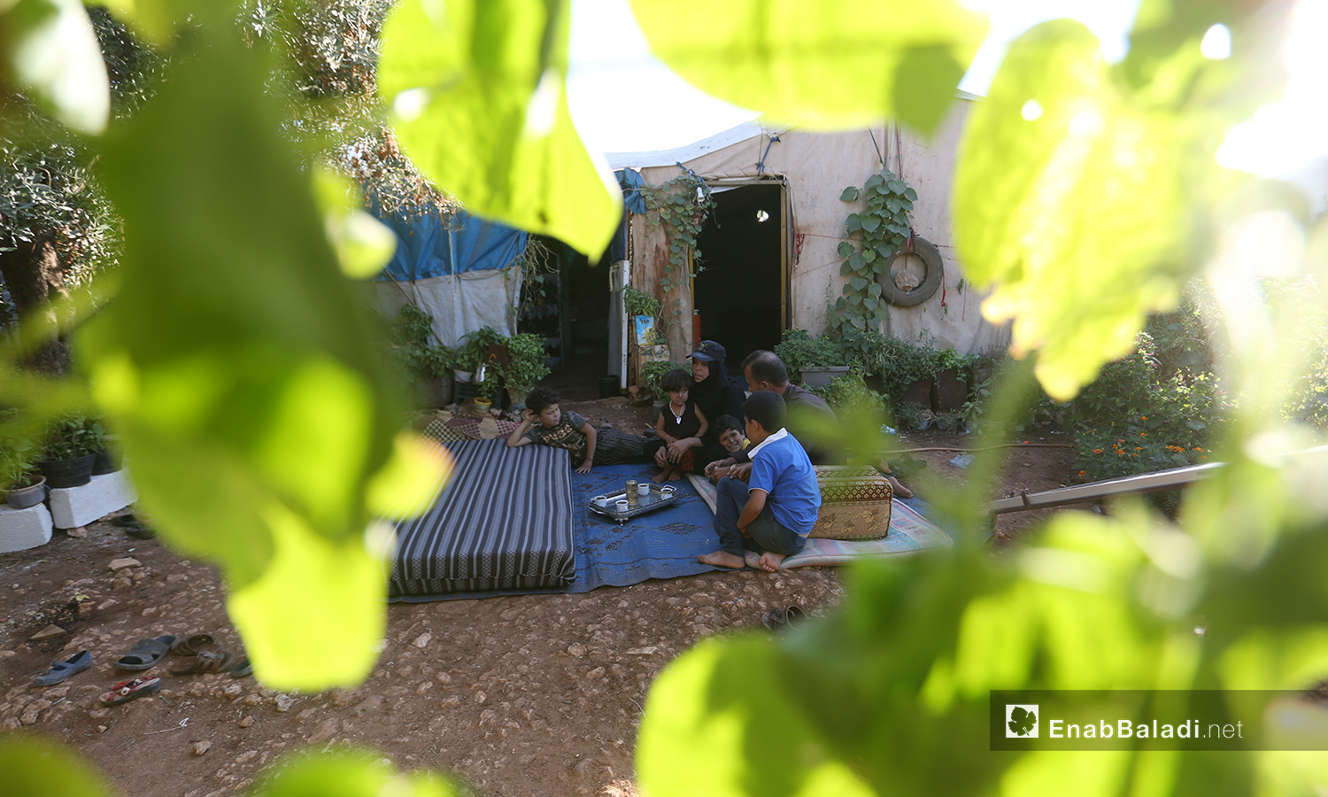 تشارك عائلات مخيم "المطار" حورية بحبها للنباتات والزراعة ويفضلون الجلوس بينها خارج الخيام - تشرين الأول 2020 (عنب بلدي/ يوسف غريبي)