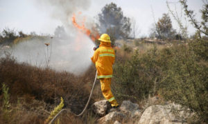 رجل إطفاء يحاول إطفاء حريق في إسرائيل 10 من تشرين الأول 2020  (see.news)