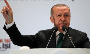 الرئيس التركي، رجب طيب أردوغان، (وكالة الأناضول)