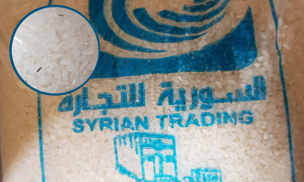 أرز مليء بالحشرات توزعه مؤسسة "السورية للتجارة" في حلب - تشرين الثاني 2020 (عنب بلدي)
