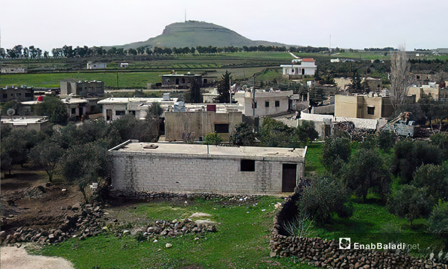 منازل القرية القريبة من تل الفرس التي تسيطر عليه القوات الإسرائيلية -10 كانون الأول 2020 (عنب بلدي /محمد فهد )