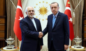 الرئيس التركي رجب طيب أردوغان ووزير الخارجية الإيراني جواد ظريف (الأناضول)