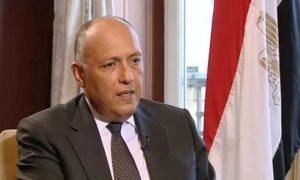 وزير الخارجية المصري سامح شكري (صحيفة المال)