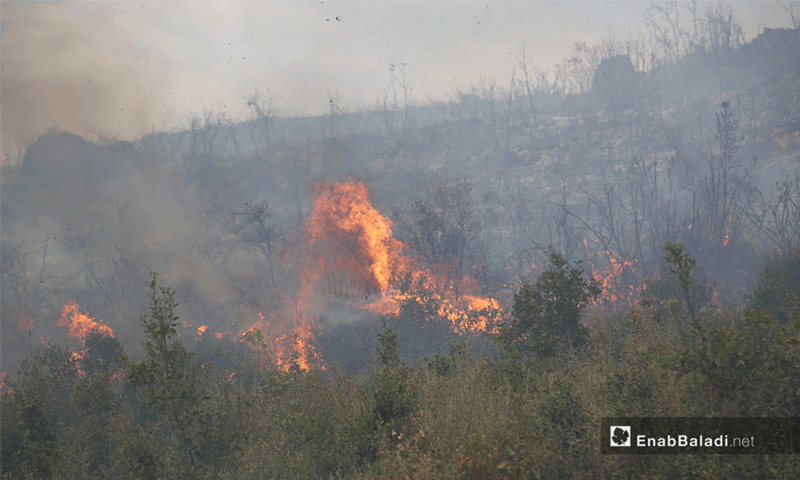 حرائق الغابات في جسر الشغور لم تكن بحدة الحرائق المشتعلة لأيام في الساحل السوري - 10 أيلول 2020 (عنب بلدي)