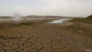 نهر الفرات بريف مدينة عين العرب (كوباني) بعد انخفاض منسوبه - 25 من نيسان 2021 (نورث برس)