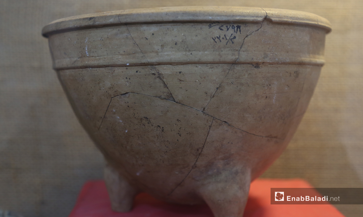 قطع  أثرية متنوعة معروضة في متحف مديتة إدلب شباط 2021 (عنب بلدي - يوسف غريبي)
