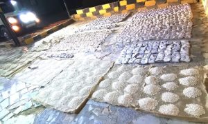 شحنة مواد مخدرة ضبطتها السلطات الأرنية عبر حدودها مع سوريا في 19 من أيار (القيادة العامة للقوات المسلحة الأردنية)