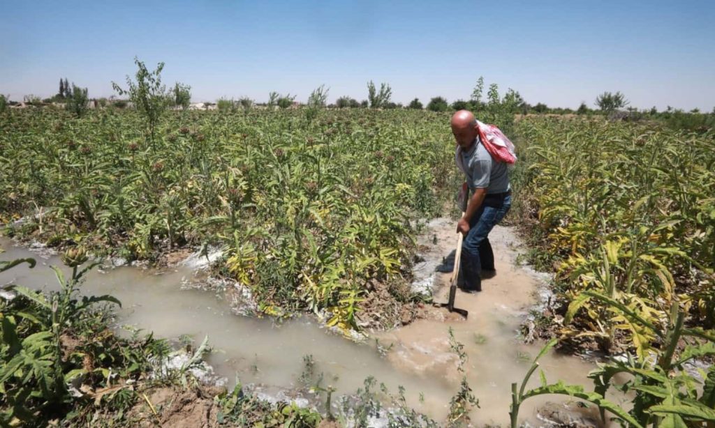 سقاية الأراضي الزراعية في الغوطة (Getty)