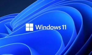 شعار Windows 11