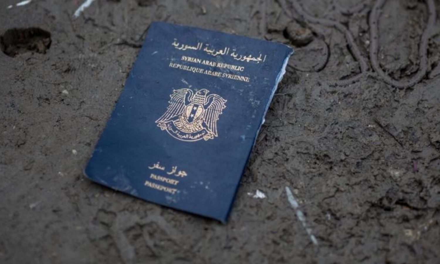 جواز سفر سوري (DPA)